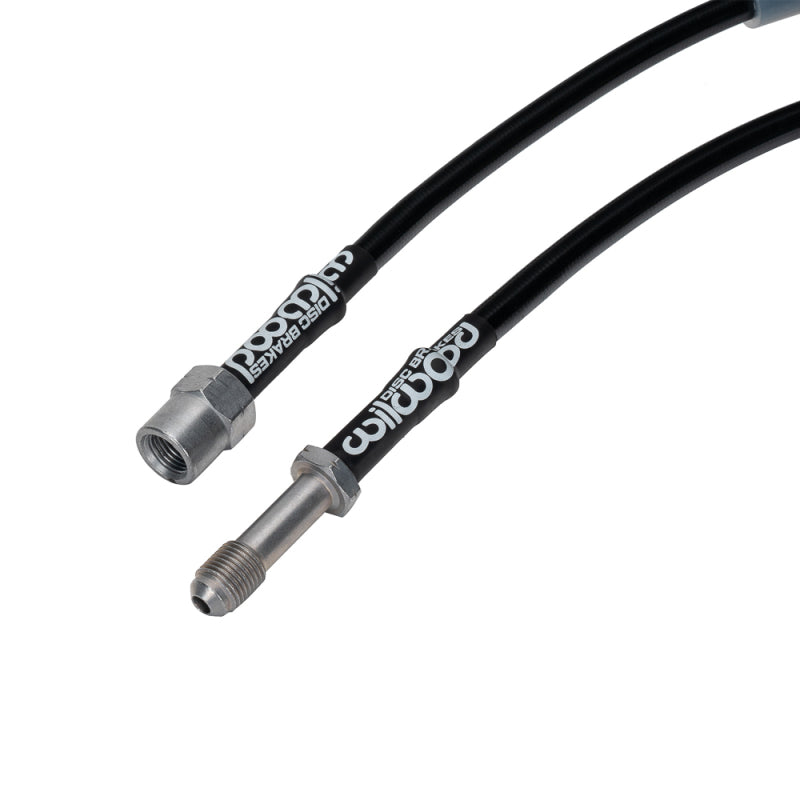 Photo - Primary