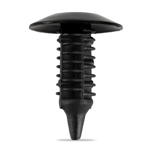 Photo - Primary